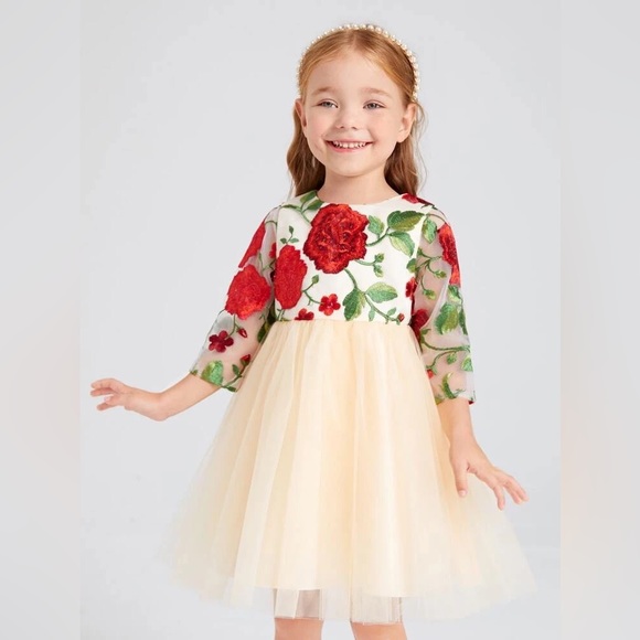 Toddler Girls Formal Holiday Christmas Floral Embroidery Mesh Gown Dress Size 4 - Picture 1 of 17